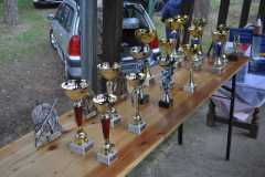 IMG-20211005-WA0003